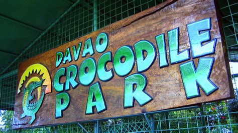 Davao Crocodile Park:  An Exciting Encounter with Toothy Titans and Feathered Friends!