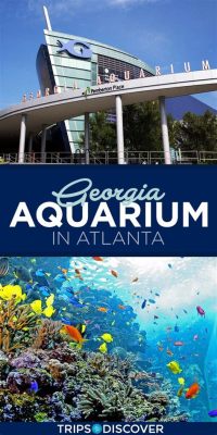 Georgia Aquarium - Trải nghiệm Biển Sâu Và Khám Phá Vòng Cuộc Sống Dưới Nước Rực Rỡ!