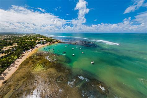 Praia do Forte: Một Vịnh Mágico với Nét Hỗn Dịu Giữa Thiên Nhiên và Lịch Sử!