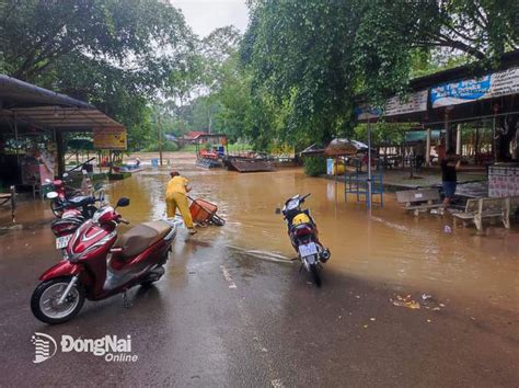  Vườn Quốc Gia Cạnh Sơn – Biển Nhựa Sáng Rực Và Thác Nước Lớn Khơi Gió